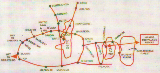 road-map-to-holong-e-v